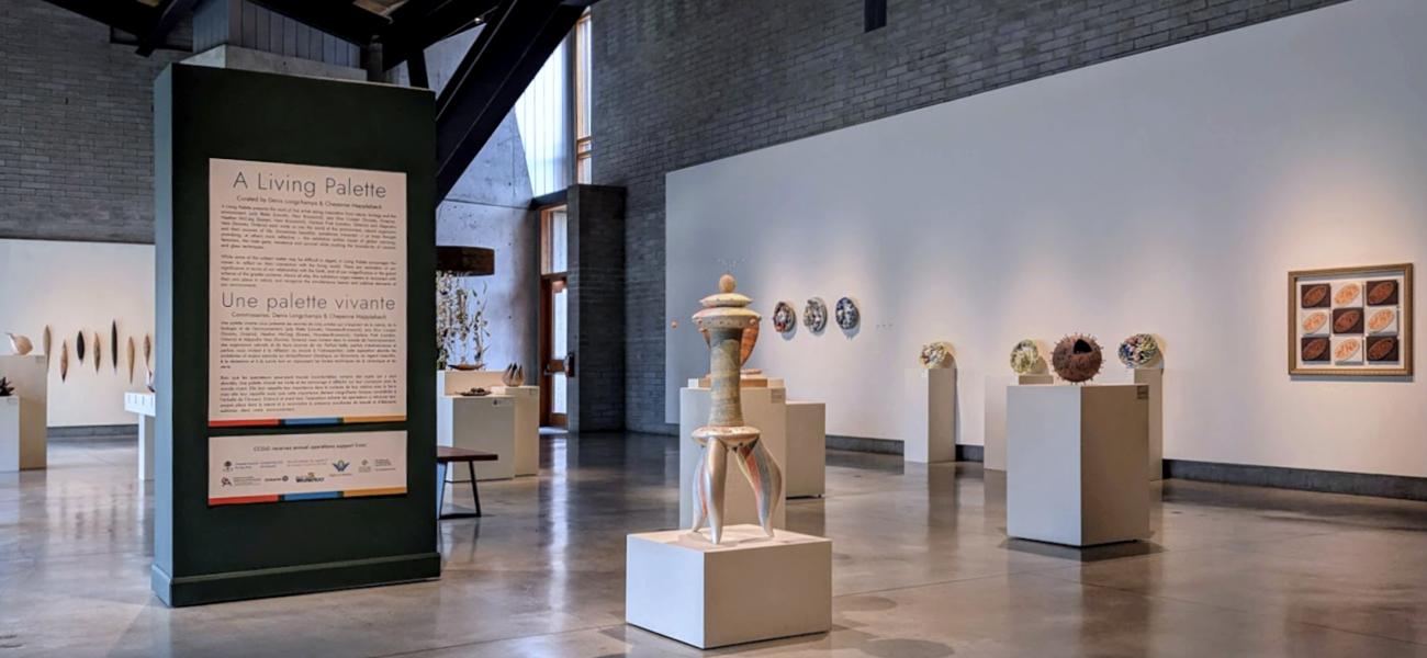 A Living Palette Exhibition, CCGG – Installation image