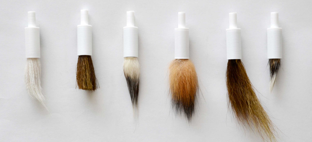 Custom brushes, 2015. 3-D printed shaft, various animal hair. Photo by artist.