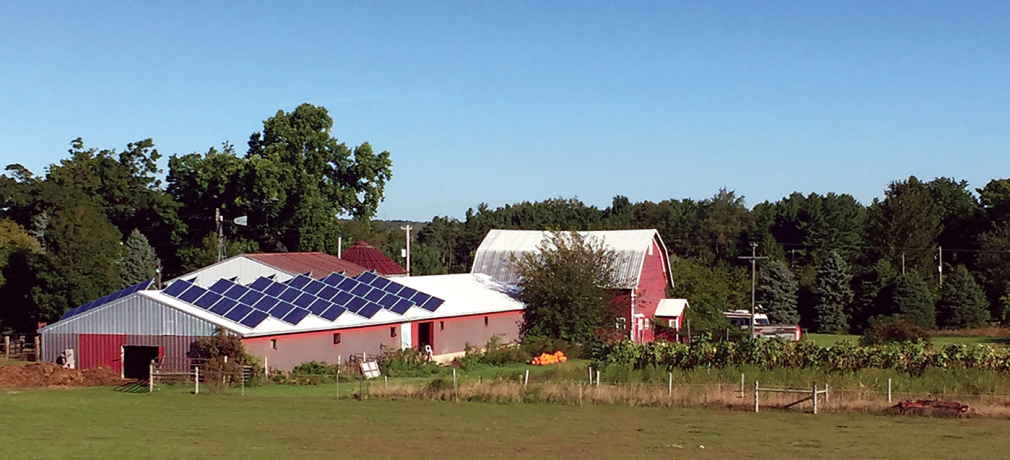 Fernwood Farm - seventy-eight solar panels supply the energy needed to run the studio.