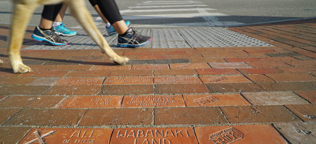 PBP Bricks installed in the India Street neighborhood of Portland, Maine. 