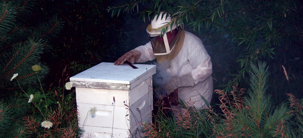 Dawn Tending her Bees, spring 2015. Photograph by Kellie Buckley.