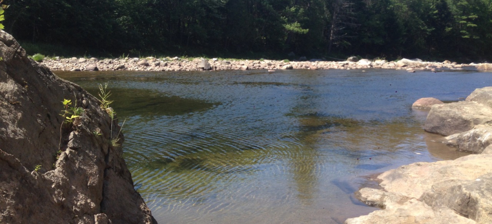 Ausable River. New York. 2018.
