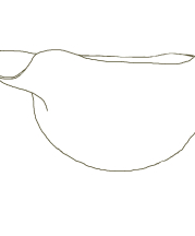  June Raby. Line drawing of a long-spouted bowl from Iran, c. 700-450 BCE, in the Fitzwilliam Museum, Cambridge, UK.