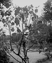 JB Blunk, circa 1952. Photo Credit: Copyright JB Blunk Collection