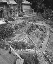 Garden, circa 1965. Photo Credit: Copyright, JB Blunk Collection