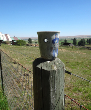 Ehren Tool. One (on a fencepost) of Thousands (of cups).