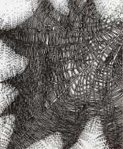 Drawing by Paulus Berensohn.