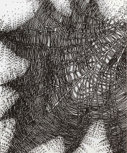 Drawing by Paulus Berensohn.