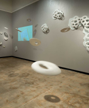 Nicole Gugliotti. Awe/Agency, 2014. Porcelain, Stoneware, wood, paint, video projection, audio, monofilament. Full installation, 10 x 25 x 14 ft. Photo by Allen Cheuvront.