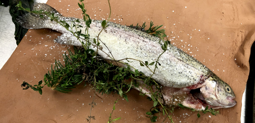 Local New York trout salted and packed with herbs on a clay slab. The trout is wrapped in the wet clay and baked in the oven. Chef Maricela Vega at Hartwick College Fall 2022.  Image Credit Stephanie A. Rozene
