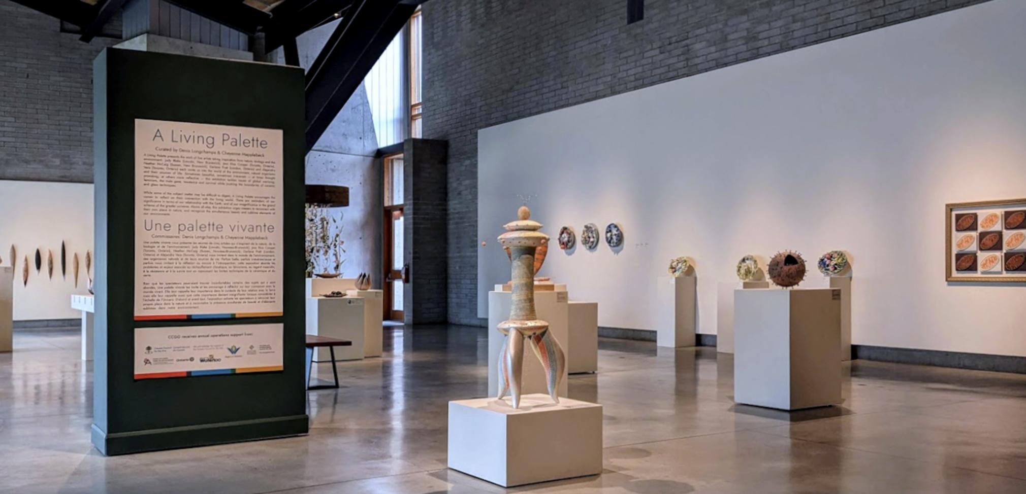 A Living Palette Exhibition, CCGG – Installation image