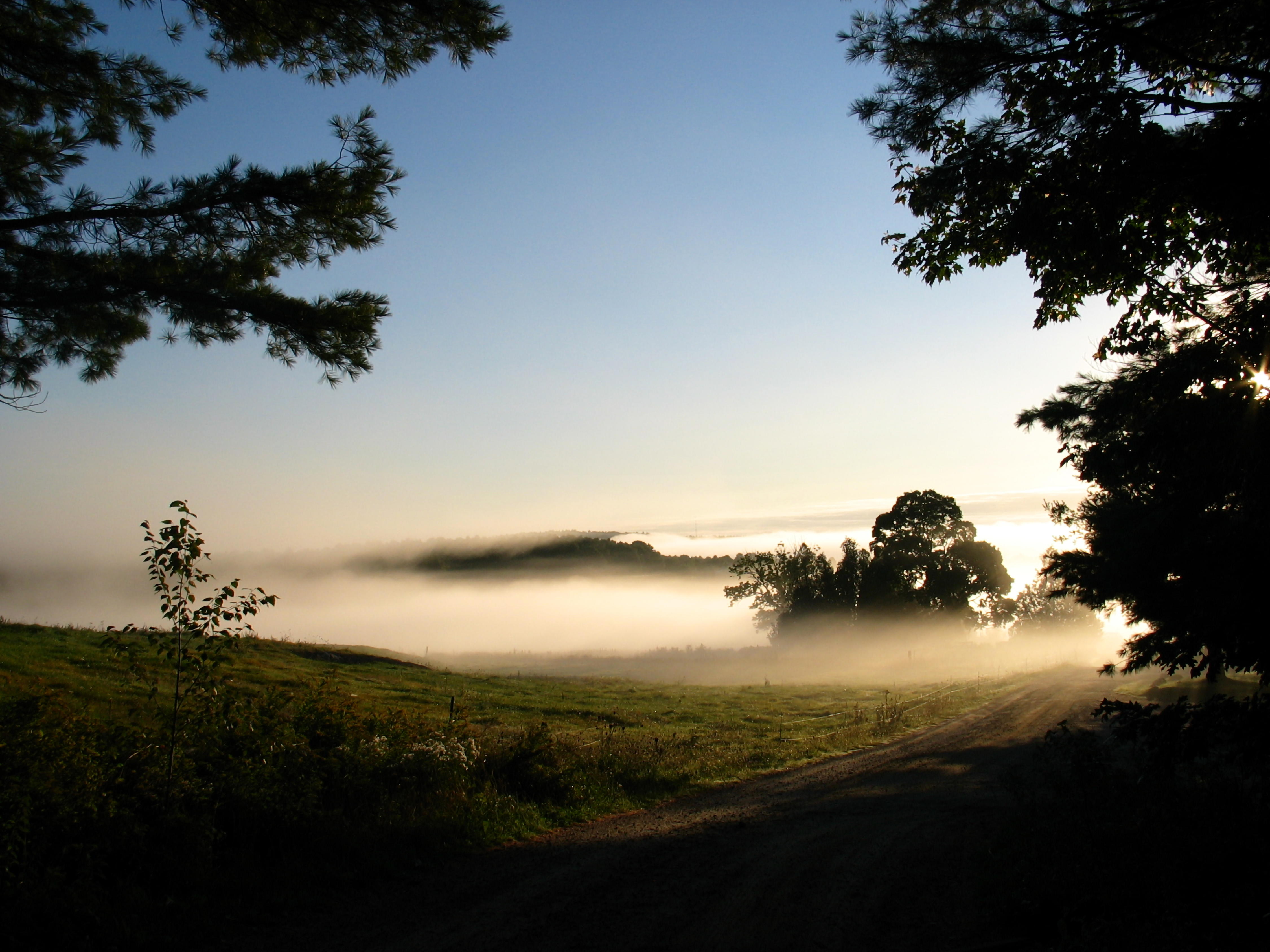 Misty morning at the Watershed Center for the Ceramic Arts