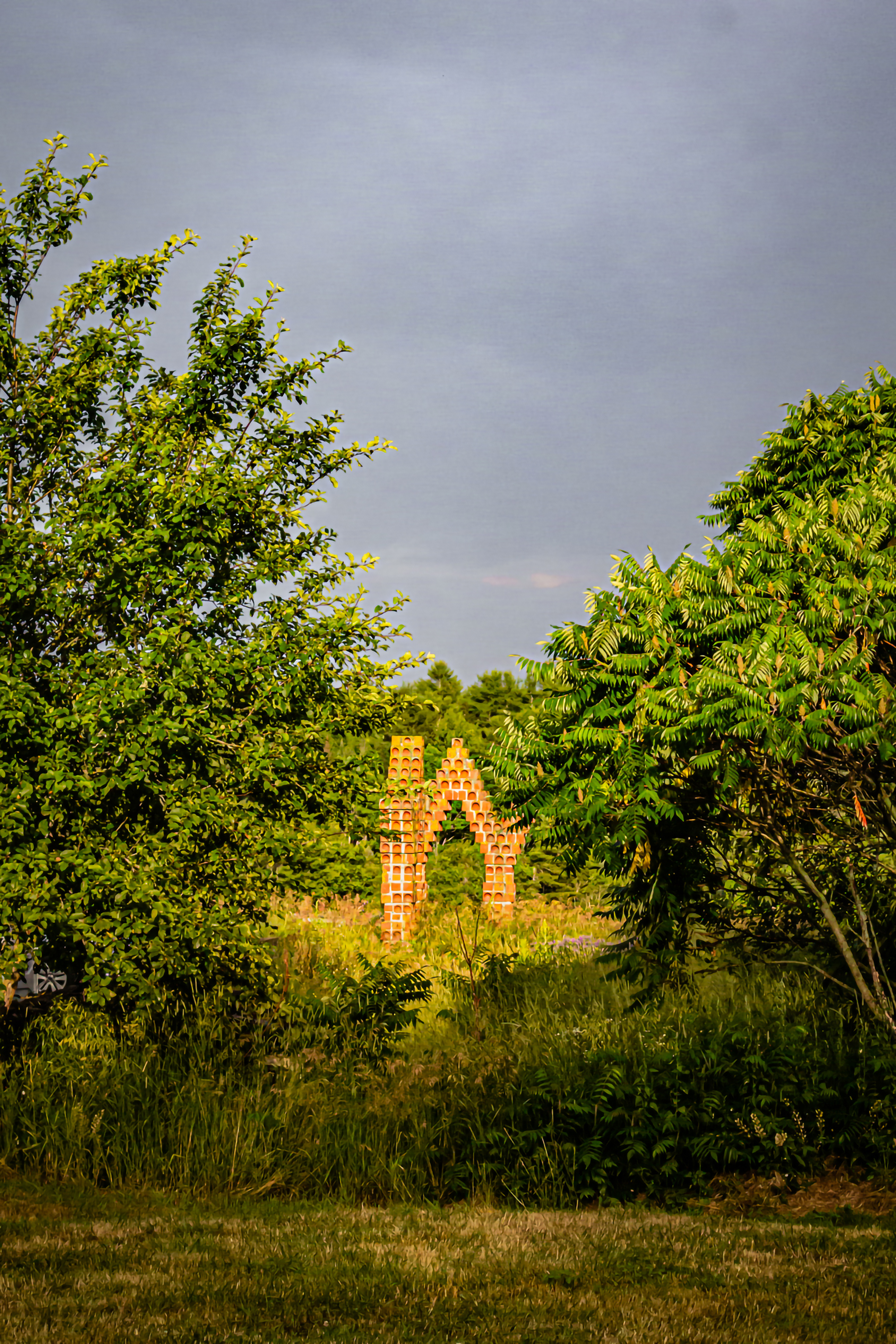 On the Watershed campus "Shedway," by Robert Harrison, 1989