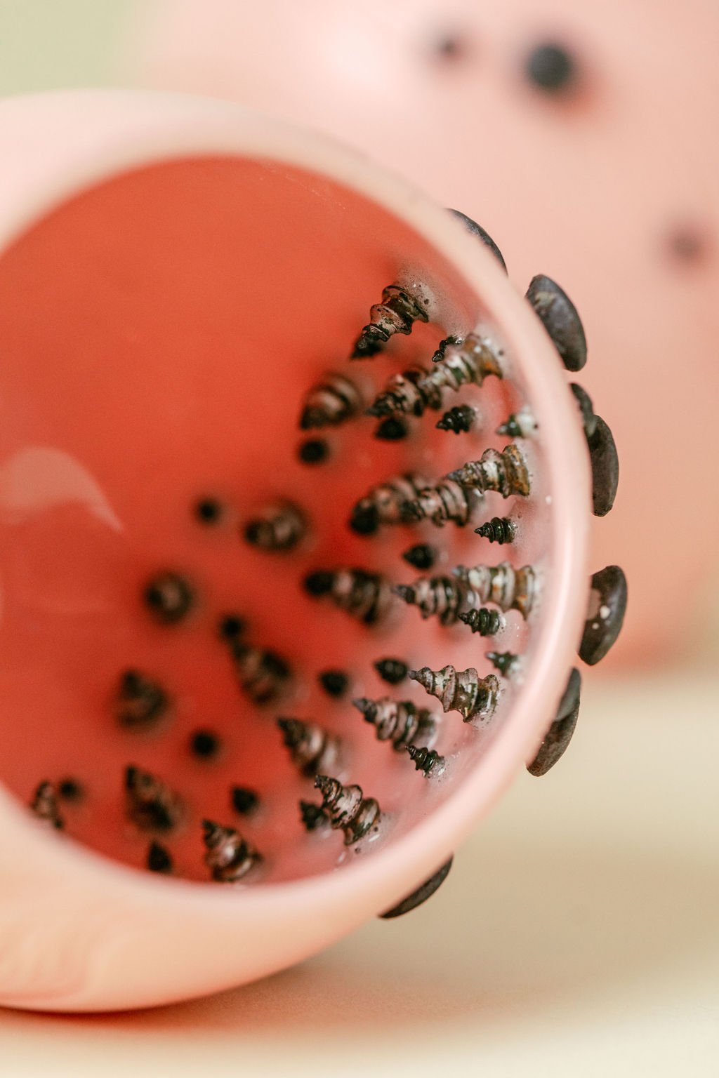 Detail image of screws embedded into colored porcelain from series “Resilient”, cone 6 colored porcelain with embedded stainless steel screws. Photo courtesy of Ty and Chey.